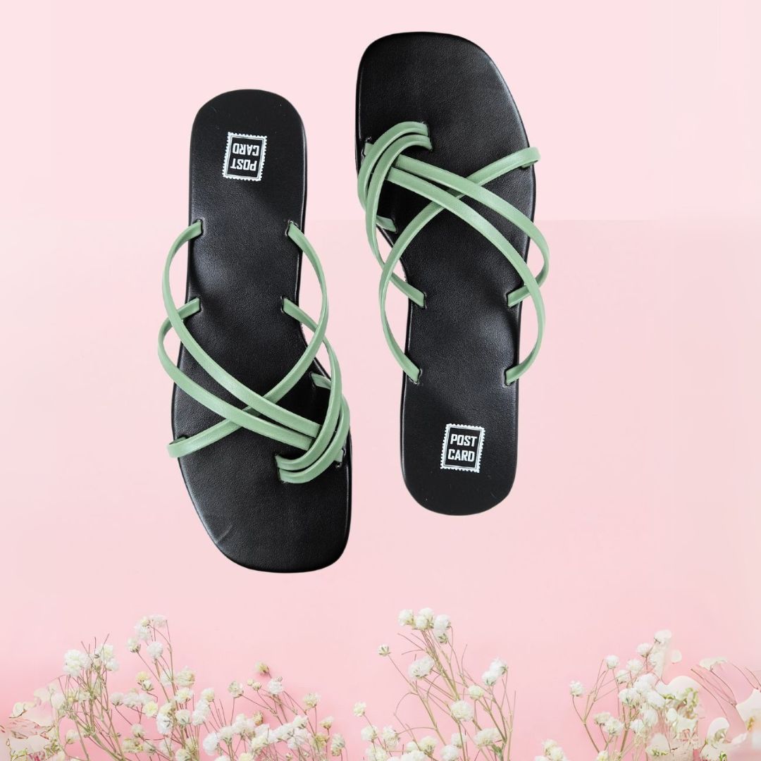 Zia Olive